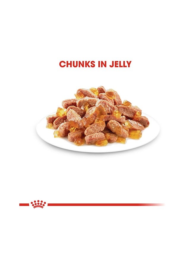 رويال كانين طعام رطب معقم للقطط الصغيرة في الجيلي - 85 غرام - Image 2